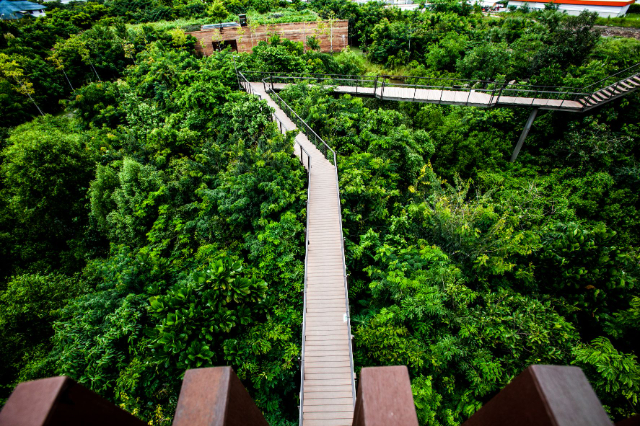 Metro Forest - Khet Prawet | Secret World Trip Planner