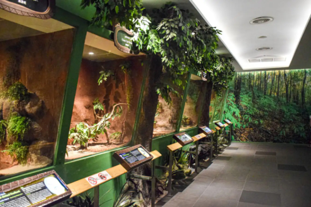 Siam Serpentarium - Khet Lat Krabang | Secret World Trip Planner
