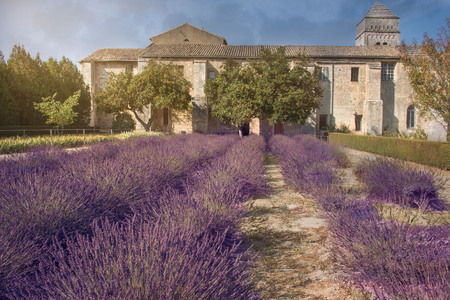 Van Gogh und das Kloster von Saint-Paul-de-Mausole - Saint-Rémy-de-Provence | Secret World Trip Planner