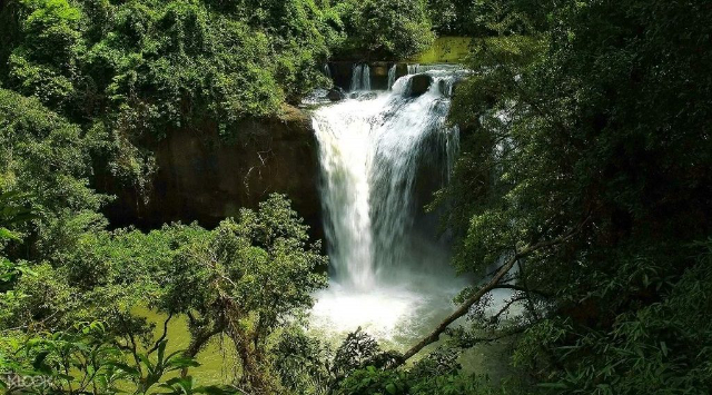 Parco Nazionale di Khao Yai - Provincia di Nakhon Ratchasima | Secret World Trip Planner