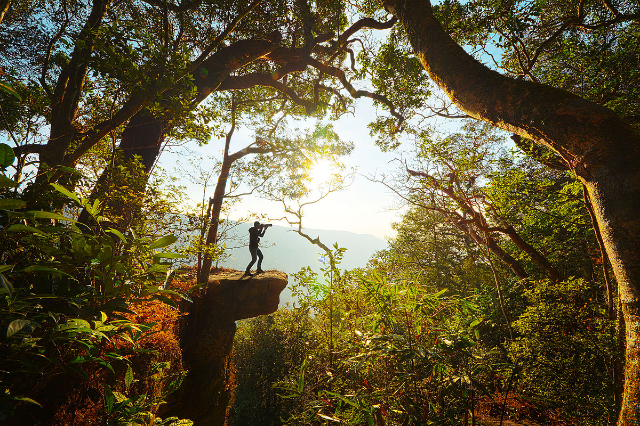 Parco Nazionale di Khao Yai - Provincia di Nakhon Ratchasima | Secret World Trip Planner