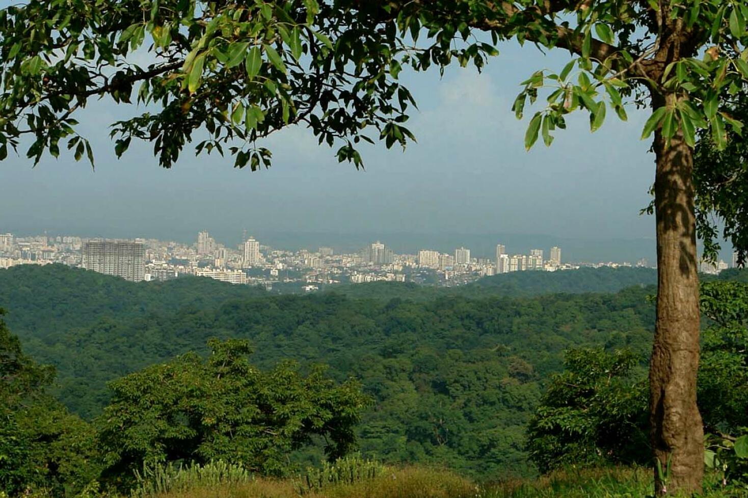 Mumbai | Sanjay Gandhi National Park : a Natural Treasure — Mumbai