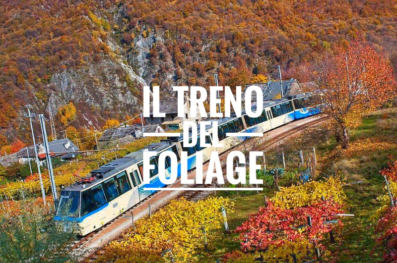Centovalli Demiryolu ile Yeşillik - Domodossola | Secret World Trip Planner