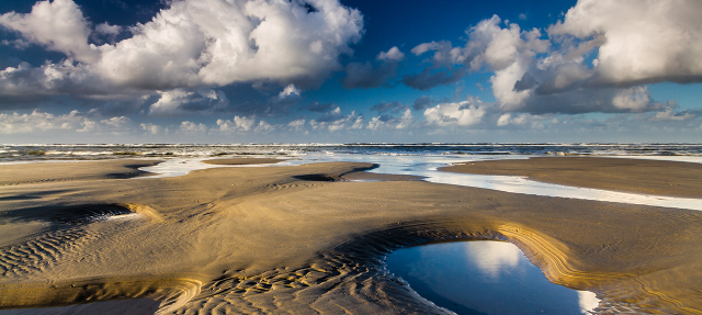 Parc national de la mer des Wadden du Schleswig-Holstein — Tönning