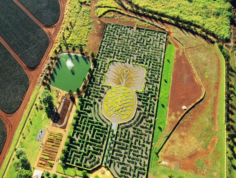 Labirinto della piantagione di Dole, Hawaii - Wahiawa | Secret World Trip Planner