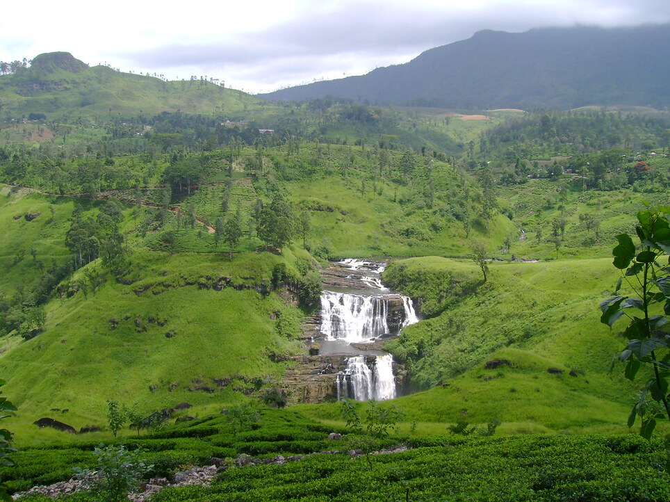 Le Srilanka est l'une des îles voisines de l'Inde et est surtout connu pour ses — Distretto di Nuwara Eliya