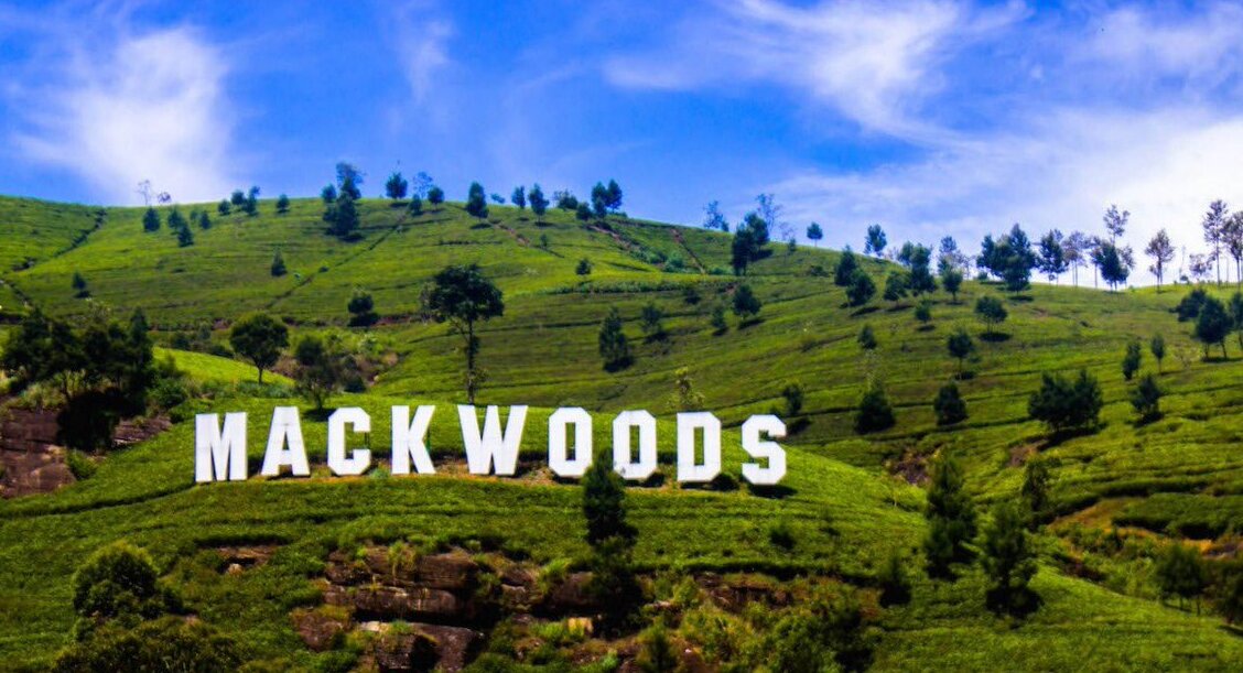 Musée du thé Mackwoods — Rambukkana