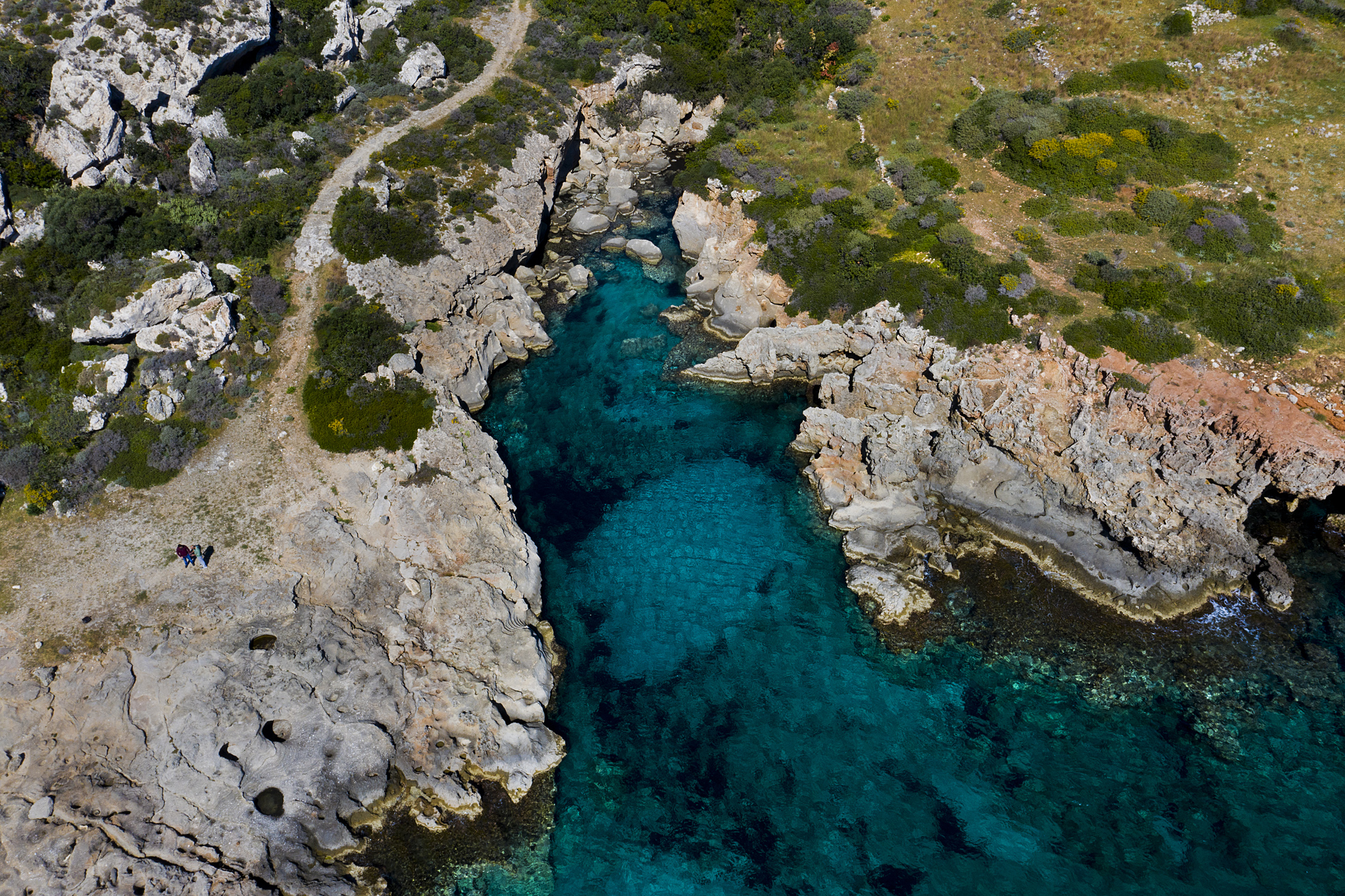 Petrified Forest, Agia Marina Paralia - Petrified Forest, Agia Marina Paralia | Secret World Trip Planner
