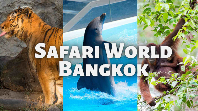 Safari-Welt Bangkok - Khet Khlong Sam Wa | Secret World Trip Planner