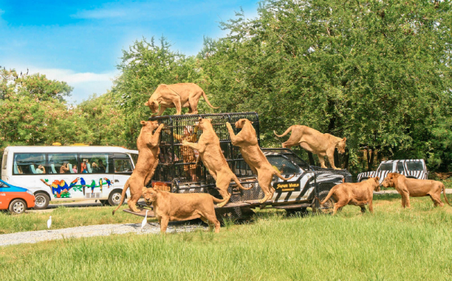 Safari-Welt Bangkok - Khet Khlong Sam Wa | Secret World Trip Planner