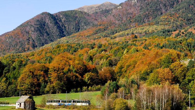 سینٹوولی ریلوے کے ساتھ پودوں - Domodossola | Secret World Trip Planner