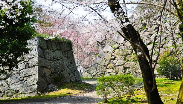Les ruines du château de Fukuoka — Fukuoka