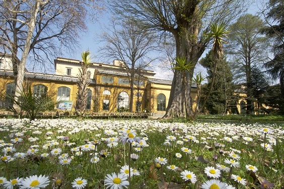 ఫ్లోరెన్స్: The Giardino dei Semplici  - Firenze | Secret World Trip Planner