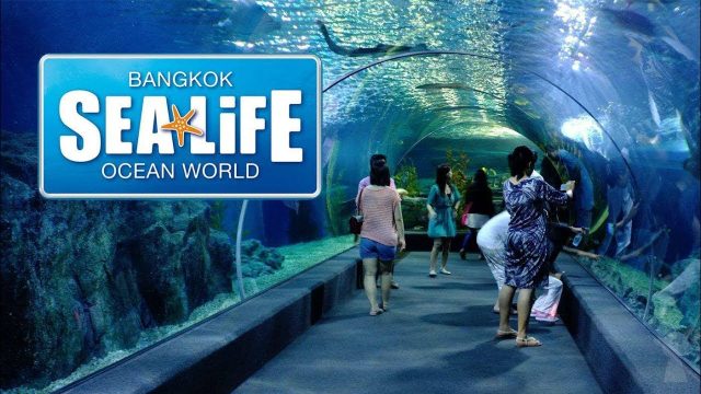 Meeresleben Bangkok Ocean World - Khet Pathum Wan | Secret World Trip Planner