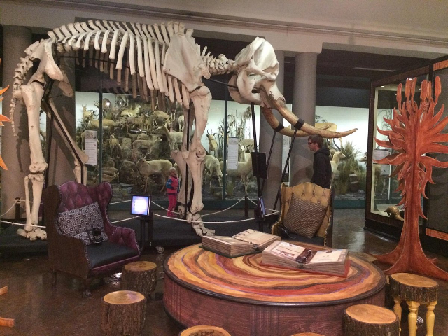 Museo del KwaZulu-Natal - Durban | Secret World Trip Planner