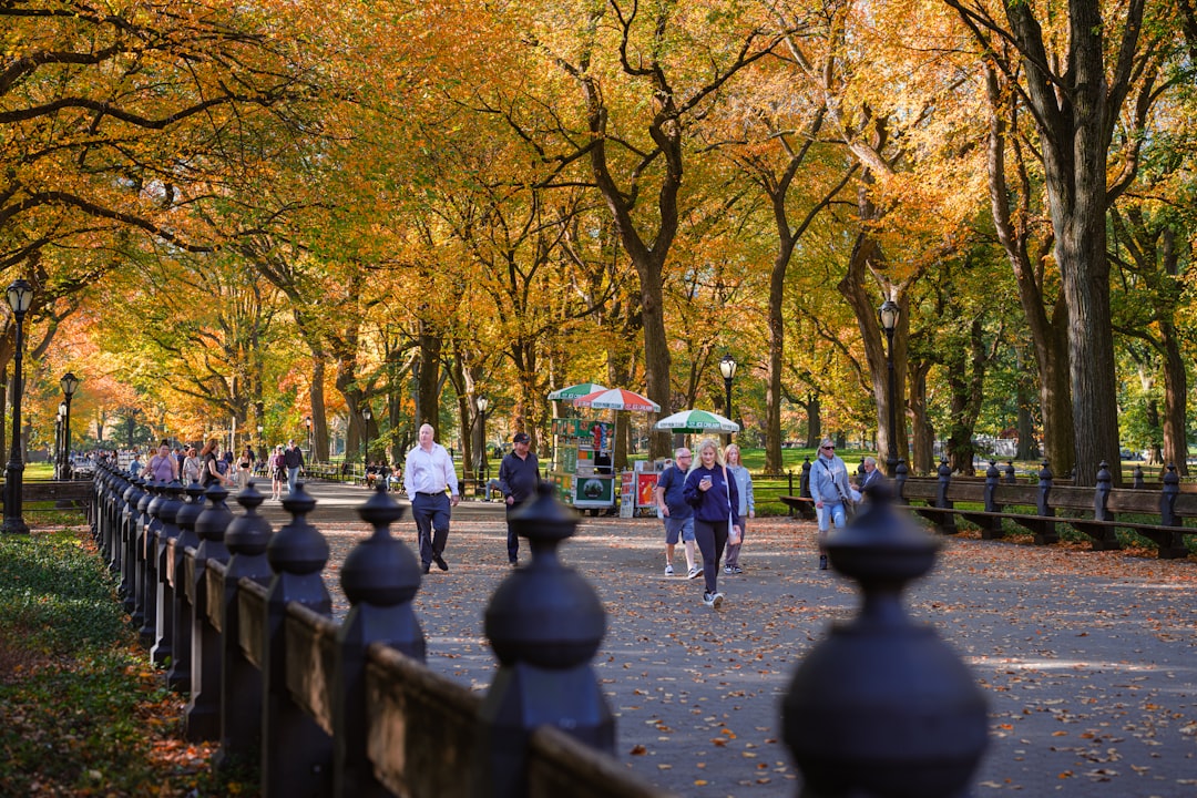 Outono Ritmo n.30 - New York | Secret World Trip Planner