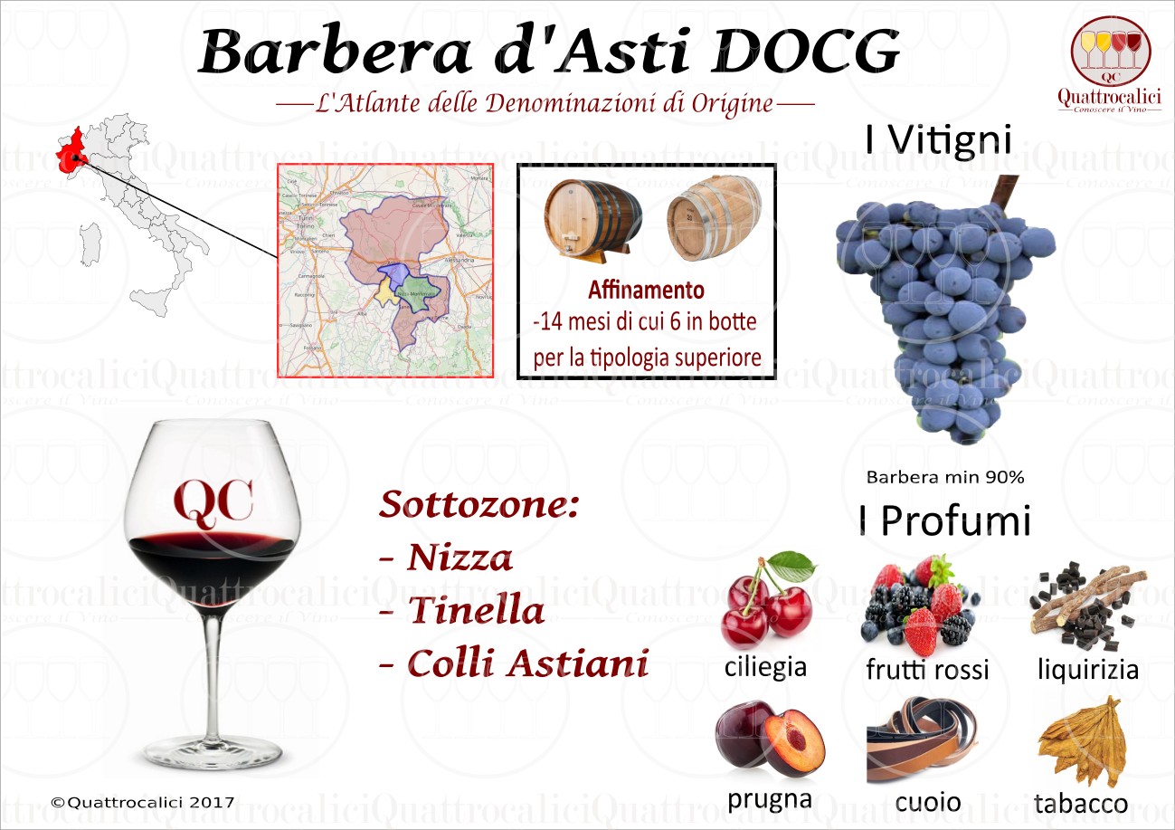 Rượu vang hàng đầu thế giới | bác sĩ Barbera d'Alba - 12051 Alba CN | Secret World Trip Planner