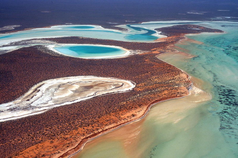 Baia degli squali, Australia Occidentale - Contea di Shark Bay | Secret World Trip Planner