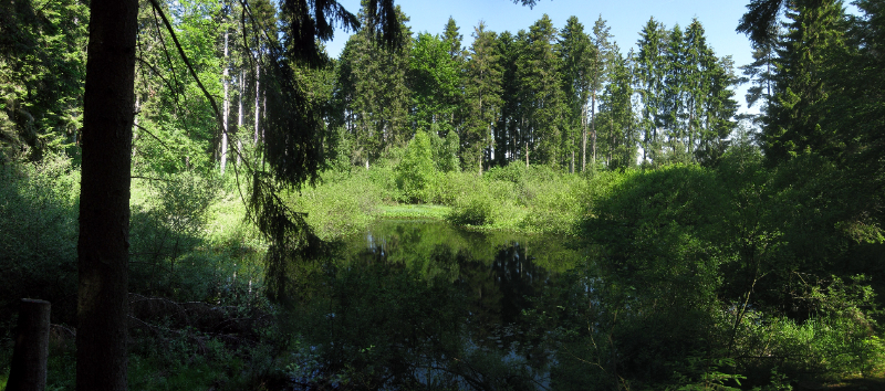 Bodenloser See - Empfingen | Secret World Trip Planner