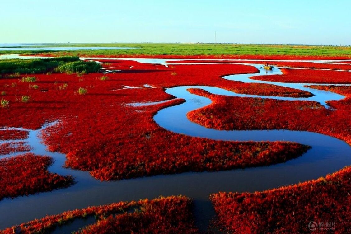 Plage rouge — Panjin