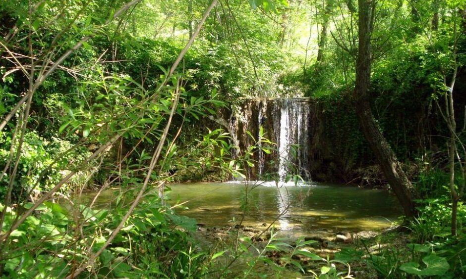 Gjurmët e gaforres së zezë - Castelplanio | Secret World Trip Planner