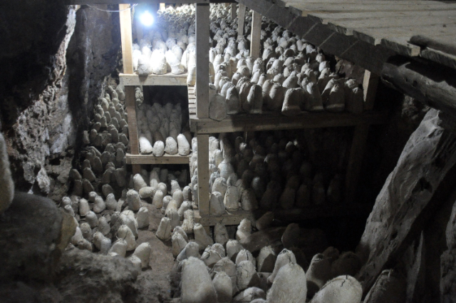 the caves of Roquefort cheese - Roquefort-sur-Soulzon | Secret World Trip Planner