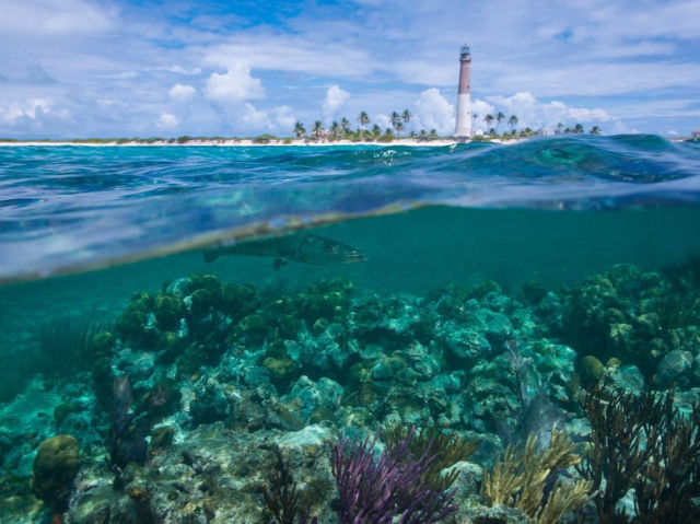 Biscayne-Nationalpark - Florida | Secret World Trip Planner