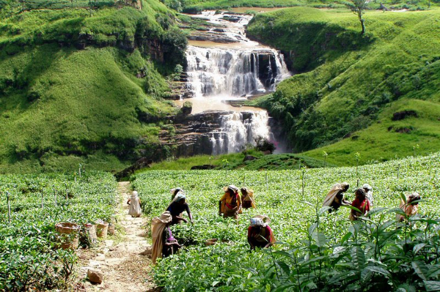 St. Clair’s Falls: the Little Niagara Falls - Thalawkele | Secret World Trip Planner