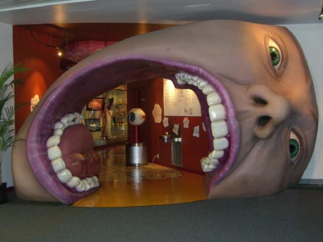 Explore the Fascinating World of the Human Body at the Corpus Museum - Oegstgeest | Secret World Trip Planner