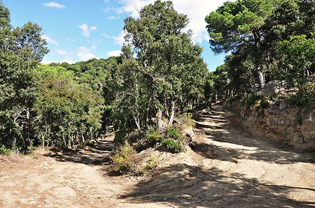 Parc du Montnegre - Dosrius | Secret World Trip Planner