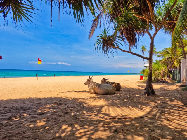 Nilaveli Strand - Nilaveli Beach | Secret World Trip Planner
