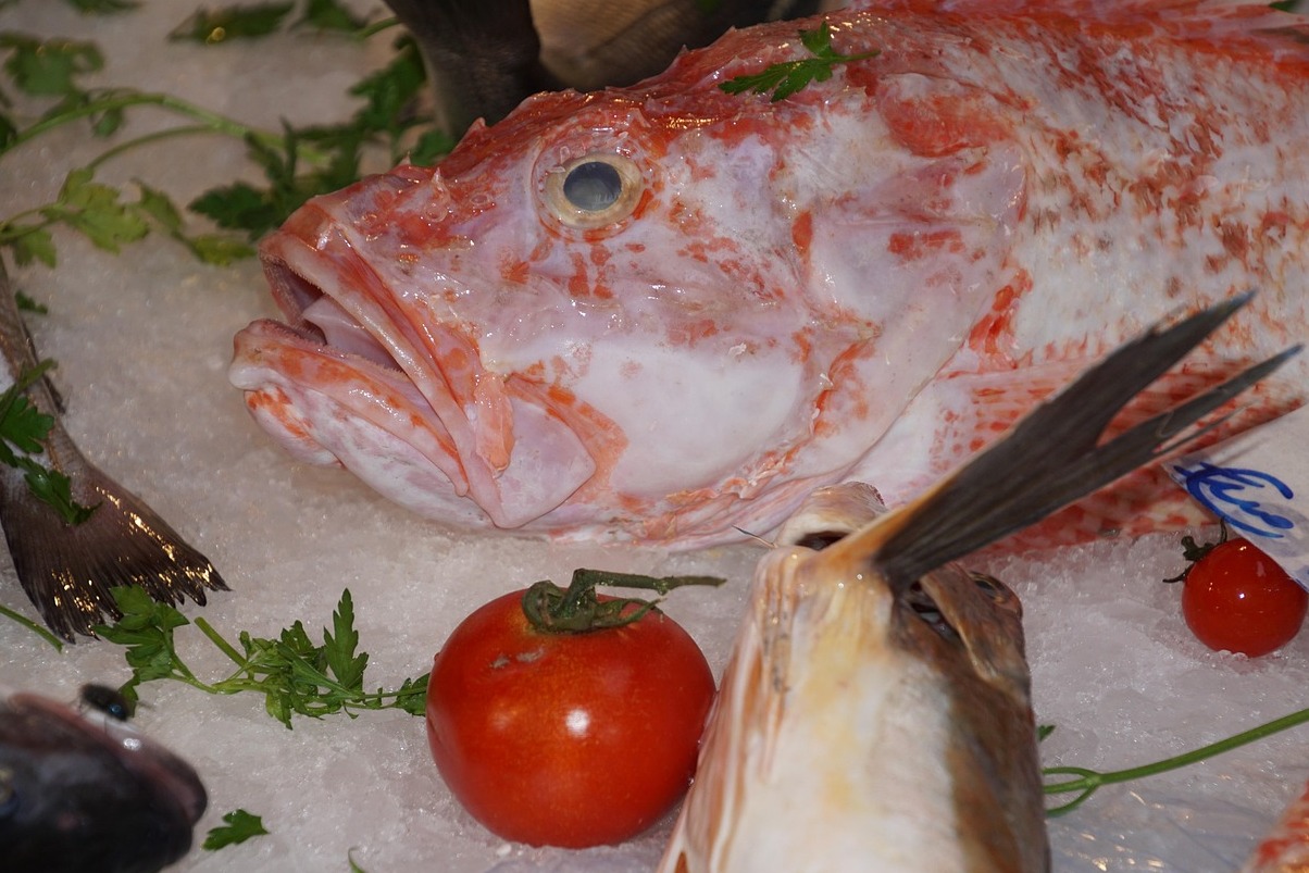 Palermo | The Ballarò Market - Palermo | Secret World Trip Planner