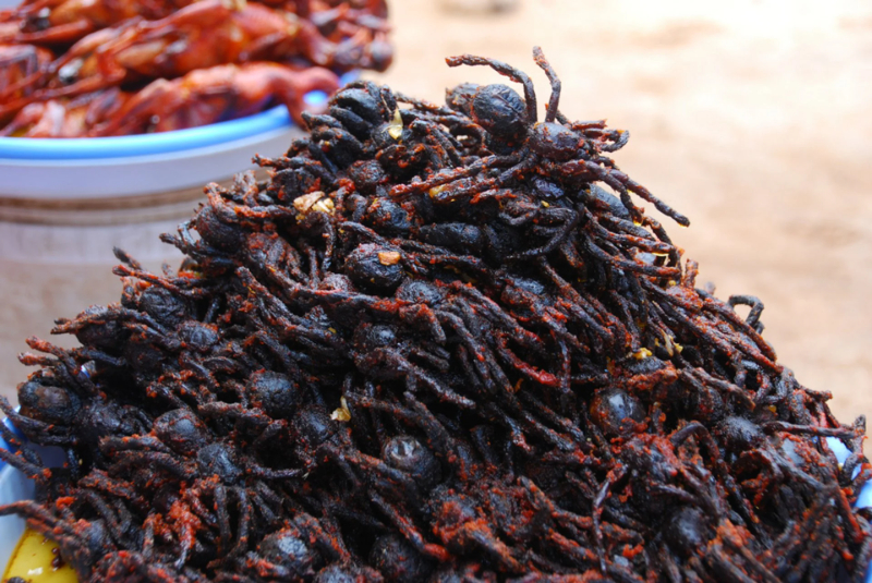 Ragno fritto - Cambogia | Secret World Trip Planner