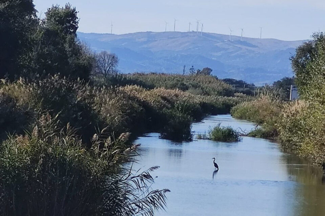 Exploration de l'oasis WWF de Policoro - 1 | Secret World Trip Planner