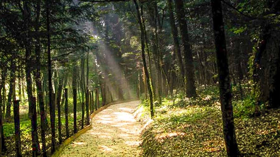 Montedimezzo MAB reserv - Vastogirardi | Secret World Trip Planner