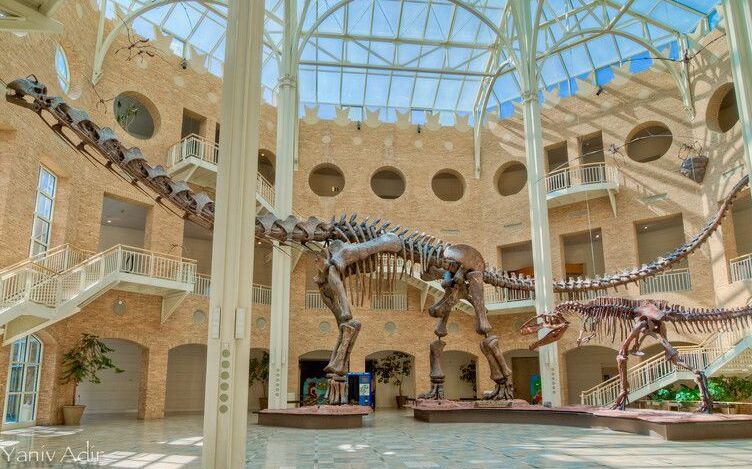 Fernbank Museum of Natural History — Atlanta
