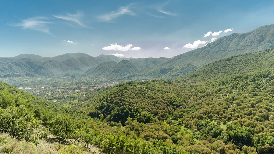 mount terminio and the ancient chestnut groves - Serino | Secret World Trip Planner