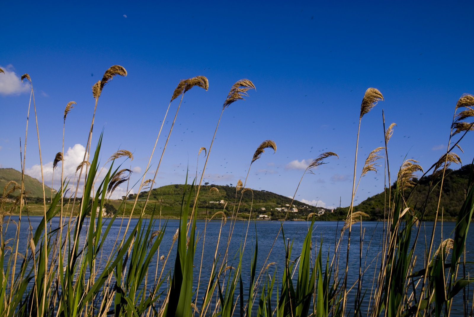Le lac d'Averno - Lago d'Averno | Secret World Trip Planner