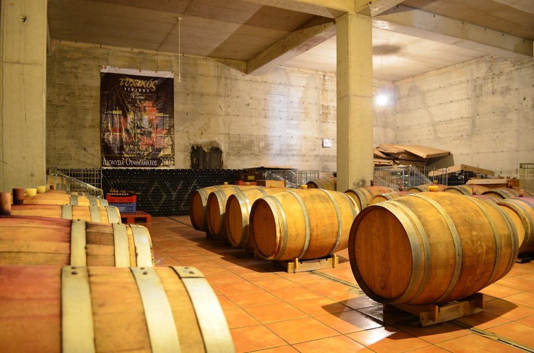 Briones | Le musée de la culture du vin - Briones | Secret World Trip Planner