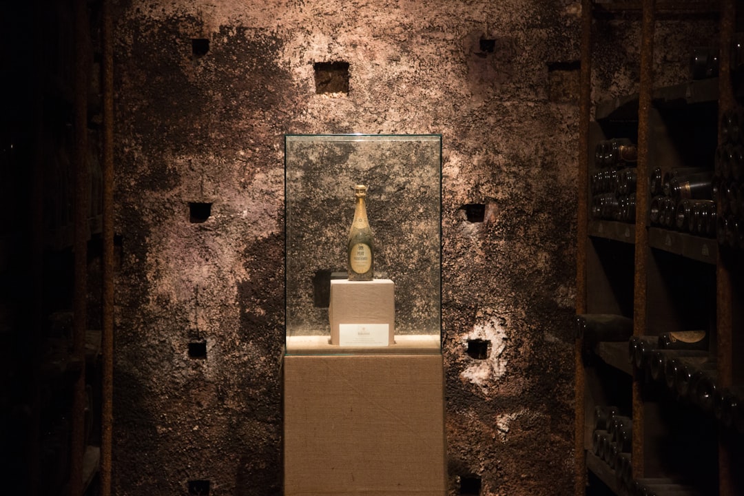 Briones | Le musée de la culture du vin - Briones | Secret World Trip Planner
