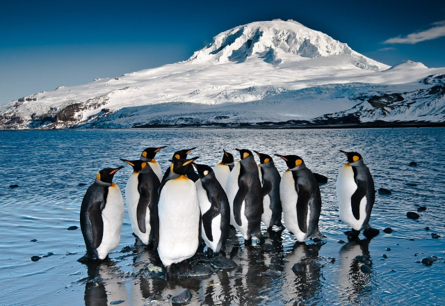 Heard and McDonald Islands | Secret World Trip Planner