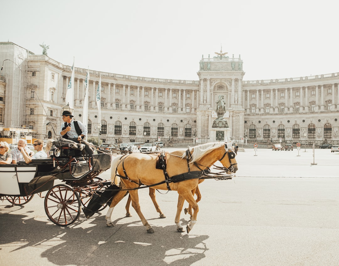 Spanish Riding School at the Imperial Stables in Wien - Wien | Secret World Trip Planner