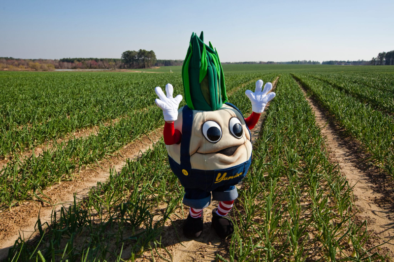 Vidalia-Zwiebel-Festival - Vidalia | Secret World Trip Planner