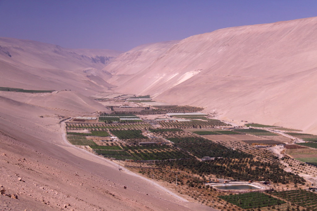 Weine aus dem Azapa-Tal - Arica | Secret World Trip Planner