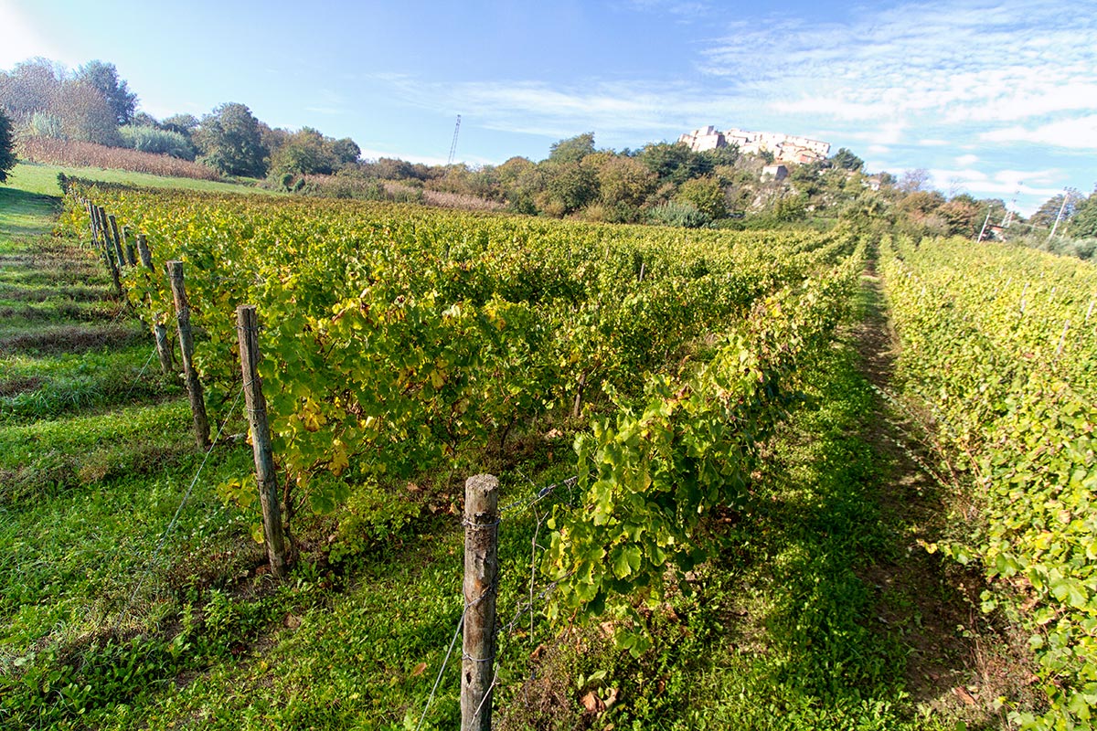 ஃபியானோ டி அவெலினோ DOCG - Provincia di Avellino | Secret World Trip Planner