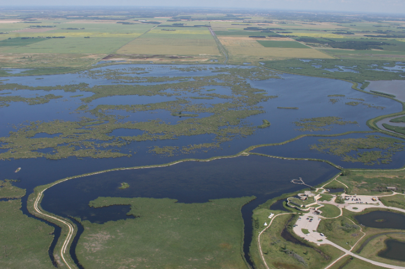 Il miglior bird-watching in Manitoba - Rockwood | Secret World Trip Planner