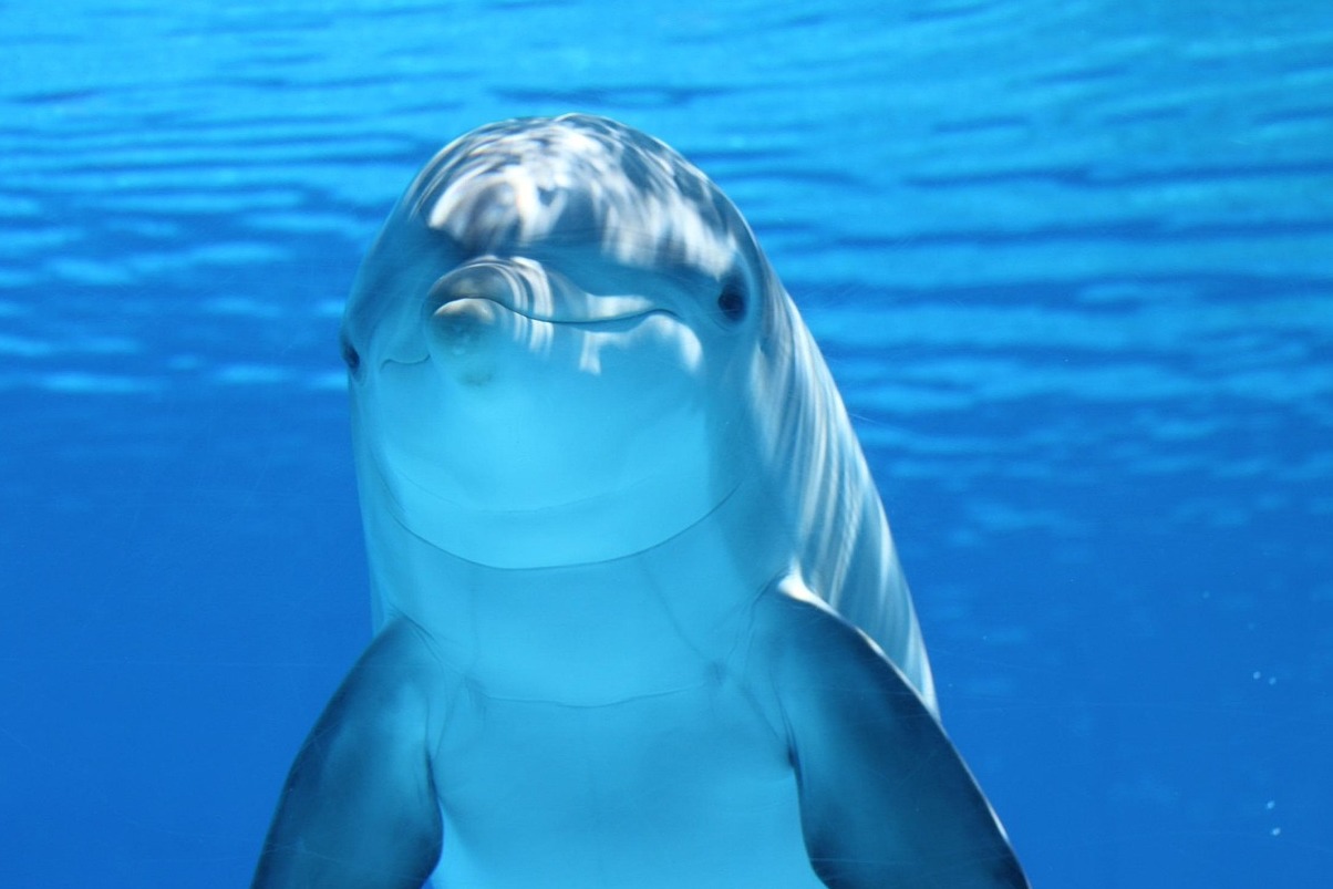 Sea Life Hannover - Hannover | Secret World Trip Planner