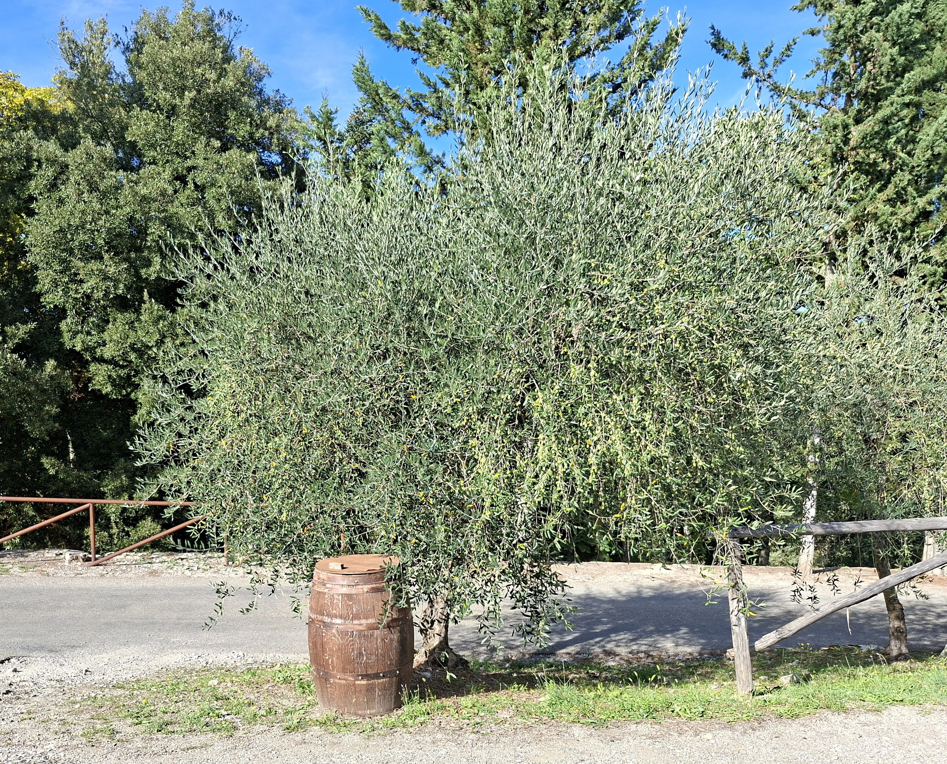A Meleto-kastély színháza - Gaiole In Chianti | Secret World Trip Planner