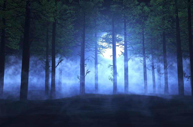 Lumières fantômes Aleya - খুলনা | Secret World Trip Planner