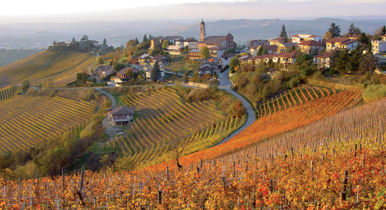 Les meilleurs vins du monde : Barbaresco - Barbaresco | Secret World Trip Planner